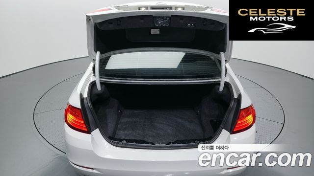 BMW Série 5 (F10) 520d xDrive 2014 — photo 20 sur 20