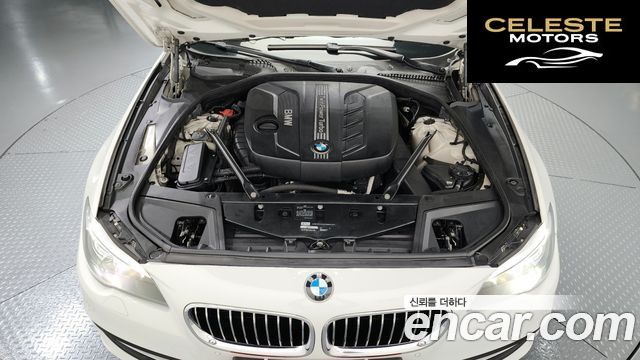 BMW Série 5 (F10) 520d xDrive 2014 — photo 6 sur 20