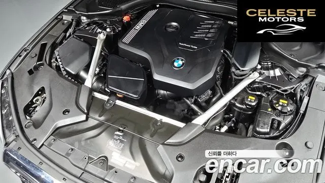 BMW Série 5 (G30) 520i Luxury 2020 — photo 6 sur 26