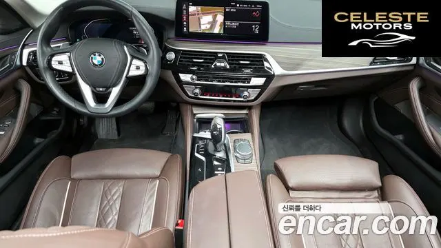 BMW Série 5 (G30) 530i Luxury 2023 — photo 7 sur 20
