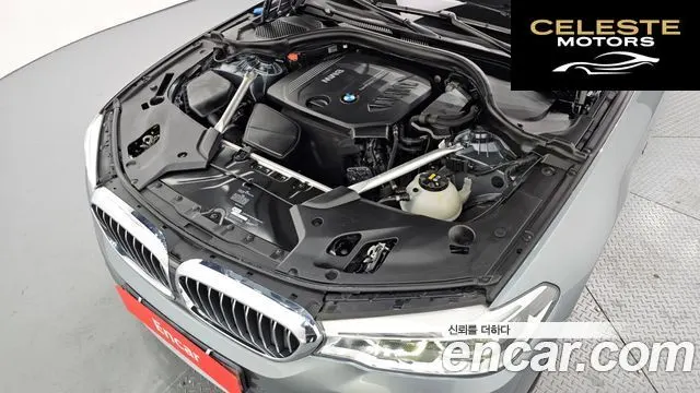BMW Série 5 (G30) 520d Luxury Spécial Edition 2018 — photo 6 sur 20