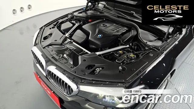 BMW Série 5 (G30) 520i Luxury 2020 — photo 6 sur 20
