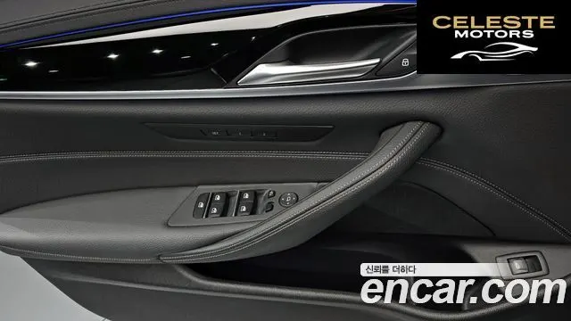 BMW Série 5 (G30) 520i Luxury 2020 — photo 18 sur 20