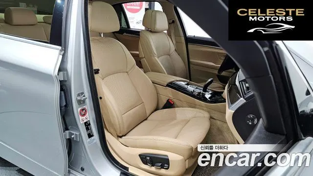 BMW Série 5 (F10) 520d xDrive Luxury Plus 2015 — photo 10 sur 20