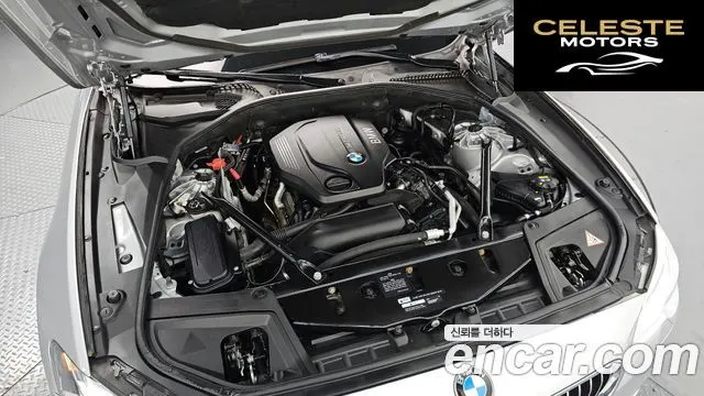 BMW Série 5 (F10) 520d xDrive Luxury Plus 2015 — photo 6 sur 20