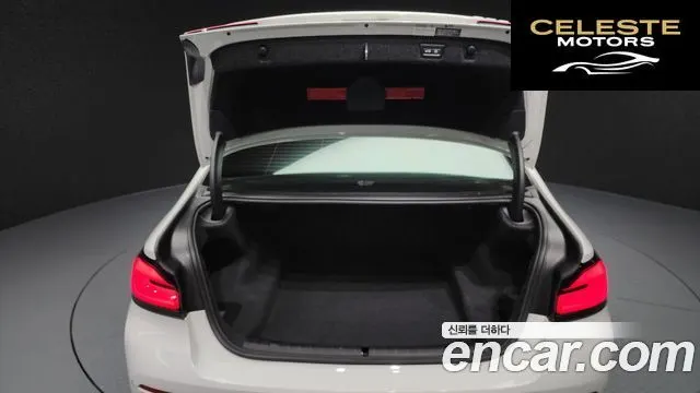 BMW Série 5 (G30) 520i Luxury 2023 — photo 20 sur 20