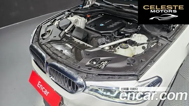 BMW Série 5 (G30) 520d Luxury Plus 2020 — photo 6 sur 20
