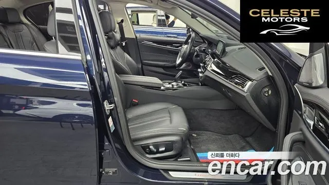 BMW Série 5 (G30) 520i Luxury 2019 — photo 11 sur 20