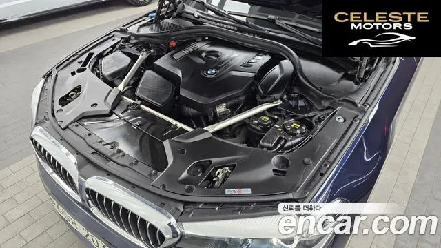 BMW Série 5 (G30) 520i Luxury 2019 — photo 6 sur 20