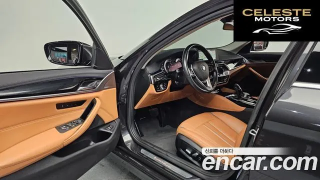 BMW Série 5 (G30) 520d Luxury Spécial Edition 2018 — photo 10 sur 26