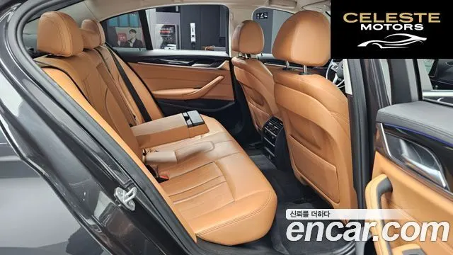 BMW Série 5 (G30) 520d Luxury Spécial Edition 2018 — photo 12 sur 26