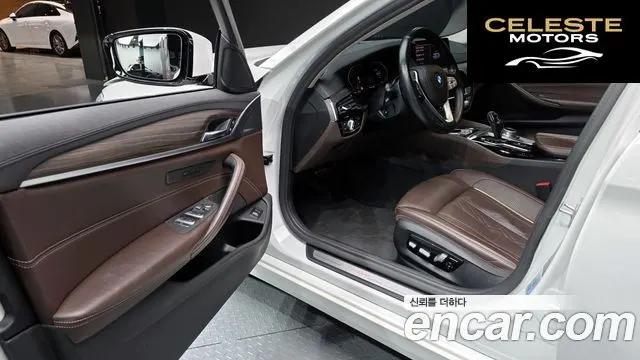 BMW Série 5 (G30) 520d Luxury Plus 2020 — photo 11 sur 20