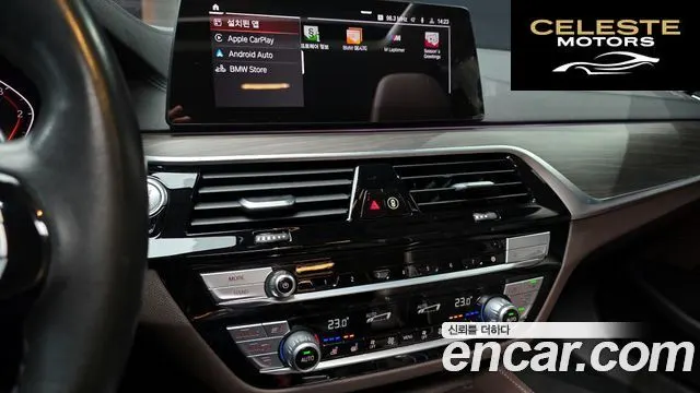 BMW Série 5 (G30) 520d Luxury Plus 2020 — photo 14 sur 20