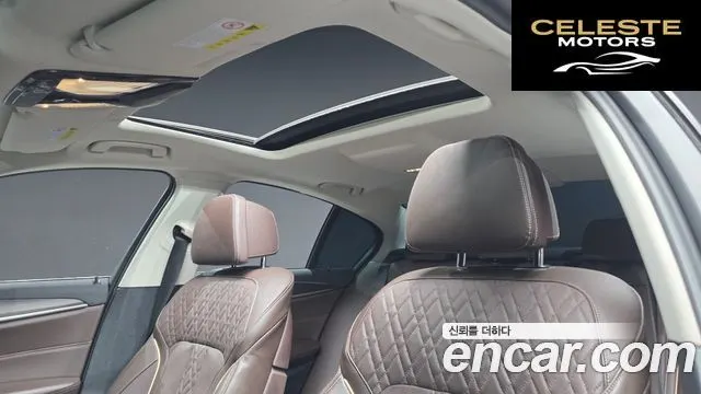 BMW Série 5 (G30) 520d Luxury Plus 2020 — photo 19 sur 20