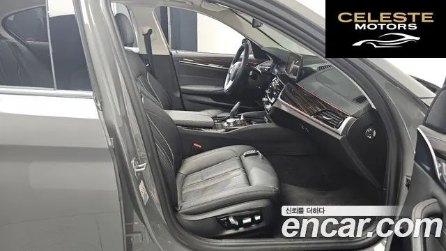 BMW Série 5 (G30) 520i Luxury 2021 — photo 11 sur 20