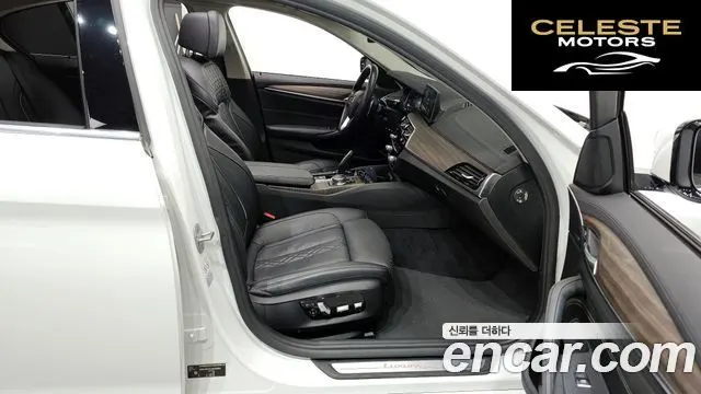 BMW Série 5 (G30) 530i xDrive Luxury Plus 2018 — photo 11 sur 20