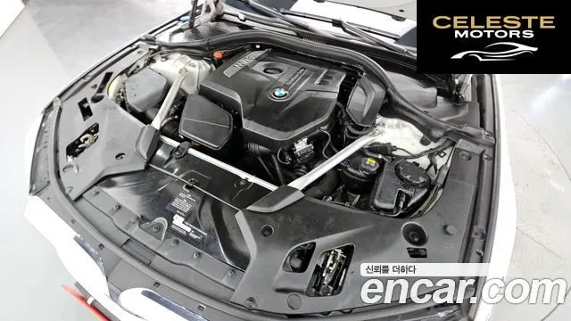 BMW Série 5 (G30) 530i xDrive Luxury Plus 2018 — photo 6 sur 20