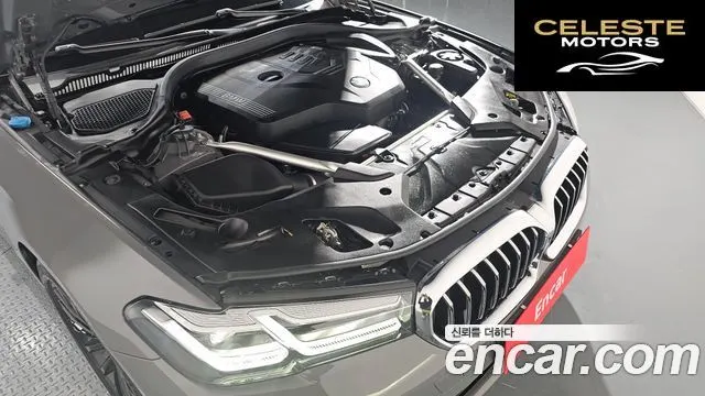 BMW Série 5 (G30) 520i Luxury 2021 — photo 6 sur 20