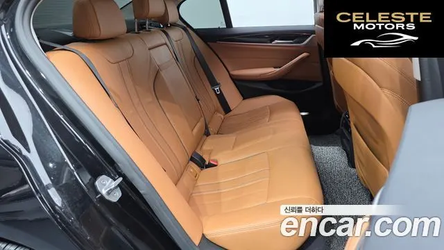 BMW Série 5 (G30) 520i Luxury 2020 — photo 12 sur 20