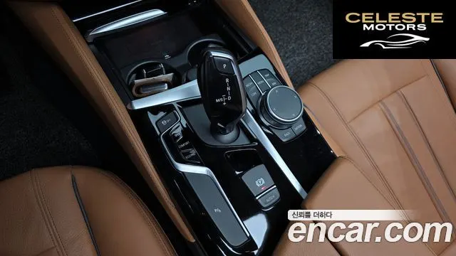 BMW Série 5 (G30) 520i Luxury 2020 — photo 9 sur 20