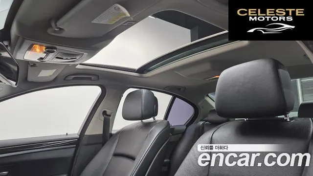 BMW Série 5 (F10) 520d 2011 — photo 20 sur 20