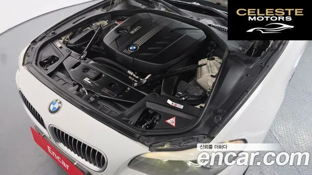 BMW Série 5 (F10) 520d 2011 — photo 6 sur 20