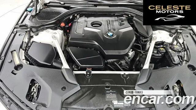 BMW Série 5 (G30) 530i Luxury Plus 2019 — photo 6 sur 20