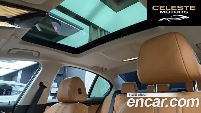 BMW Série 5 (G30) 520i Luxury 2020 — photo 18 sur 20