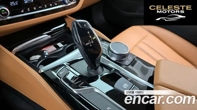 BMW Série 5 (G30) 520i Luxury 2020 — photo 9 sur 20