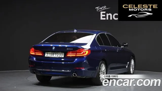 BMW Série 5 (G30) 520i Luxury 2020 — photo 2 sur 20