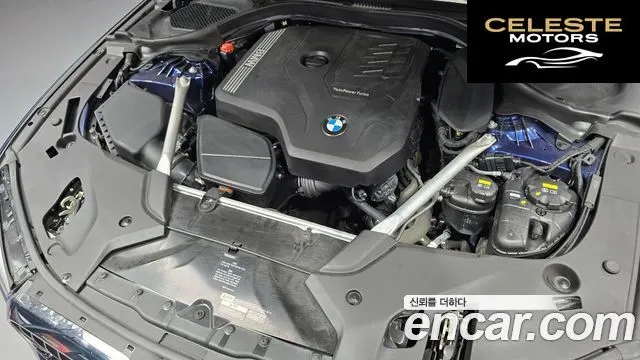 BMW Série 5 (G30) 520i Luxury 2020 — photo 6 sur 20