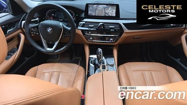 BMW Série 5 (G30) 520i Luxury 2020 — photo 7 sur 20