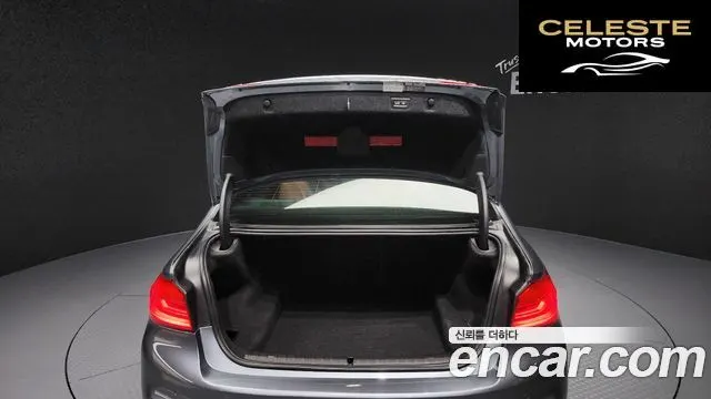 BMW Série 5 (G30) 520d xDrive M Sport Plus 2017 — photo 20 sur 20