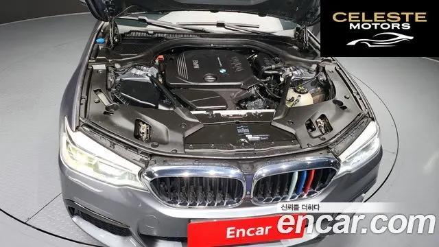 BMW Série 5 (G30) 520d xDrive M Sport Plus 2017 — photo 6 sur 20
