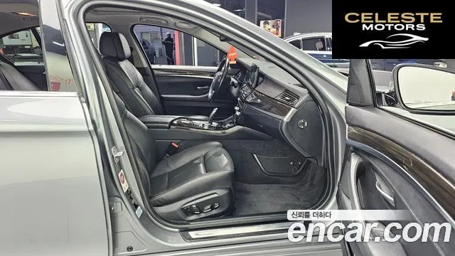BMW Série 5 (F10) 520d xDrive Luxury Plus 2016 — photo 11 sur 20