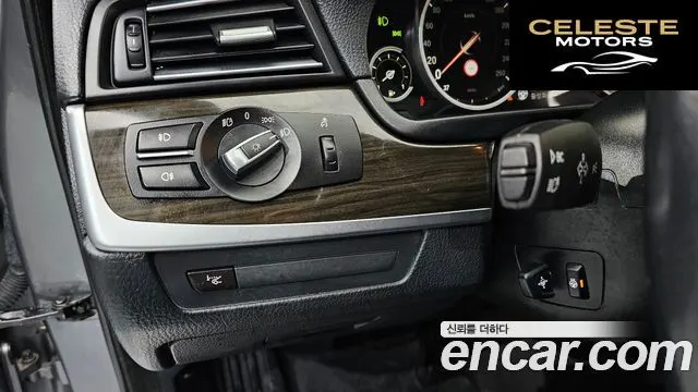 BMW Série 5 (F10) 520d xDrive Luxury Plus 2016 — photo 16 sur 20