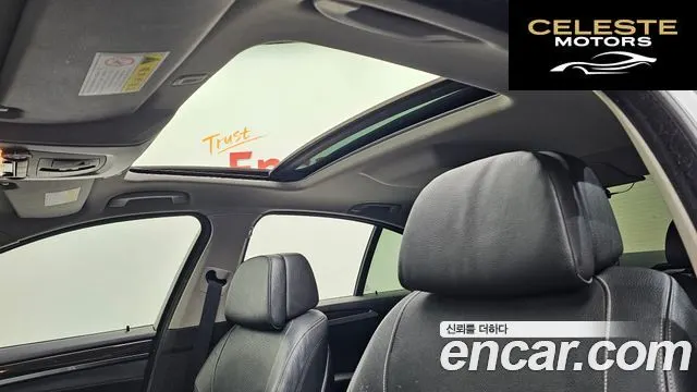 BMW Série 5 (F10) 520d xDrive Luxury Plus 2016 — photo 19 sur 20