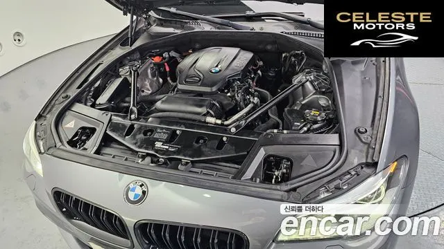 BMW Série 5 (F10) 520d xDrive Luxury Plus 2016 — photo 6 sur 20