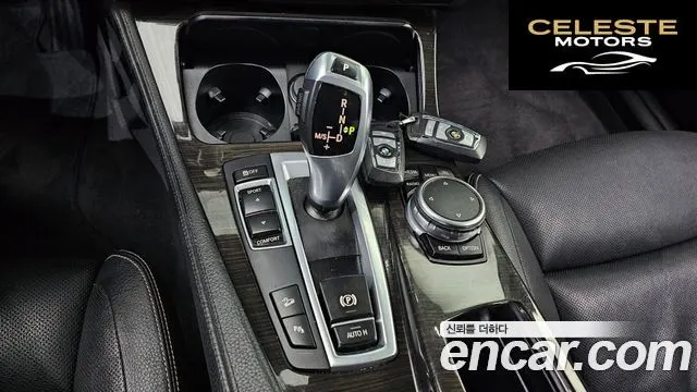 BMW Série 5 (F10) 520d xDrive Luxury Plus 2016 — photo 9 sur 20
