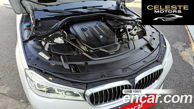 BMW Série 7 (G11) 730d xDrive M Sport 2018 — photo 6 sur 20