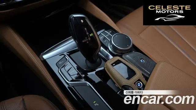 BMW Série 5 (G30) 520i Luxury 2020 — photo 9 sur 20