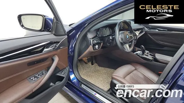 BMW Série 5 (G30) 520d M Sport Plus 2018 — photo 10 sur 20