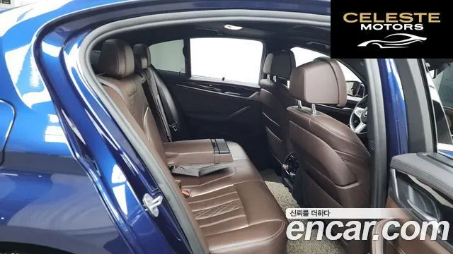 BMW Série 5 (G30) 520d M Sport Plus 2018 — photo 12 sur 20