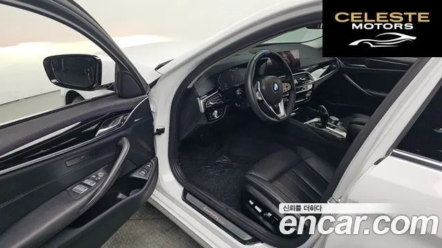 BMW Série 5 (G30) 530e Luxury 2020 — photo 10 sur 20