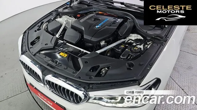 BMW Série 5 (G30) 530e Luxury 2020 — photo 6 sur 20