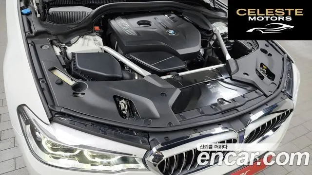 BMW Série 5 (G30) 530i xDrive Luxury Plus 2018 — photo 6 sur 20