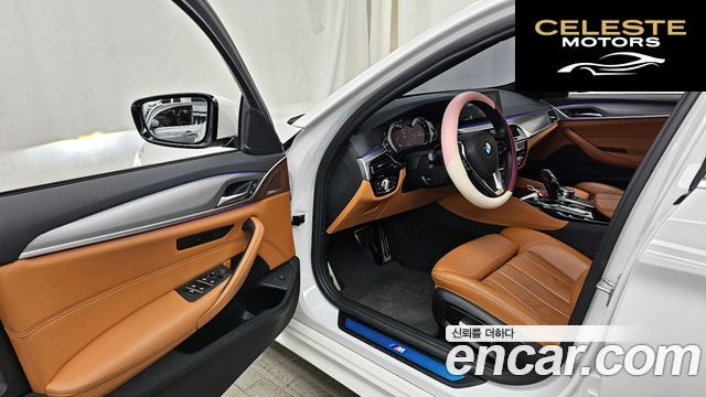 BMW Série 5 (G30) 520d M Sport Spécial Edition 2018 — photo 10 sur 20