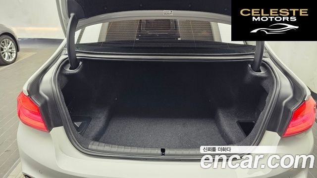 BMW Série 5 (G30) 520d M Sport Spécial Edition 2018 — photo 20 sur 20