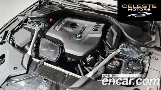 BMW Série 5 (G30) 530i xDrive Luxury Plus 2019 — photo 6 sur 20