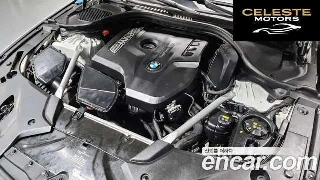 BMW Série 5 (G30) 530i xDrive Luxury Plus 2018 — photo 6 sur 20